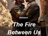Lgbtq ebook (novels)
